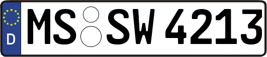 MS-SW4213