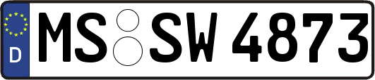 MS-SW4873