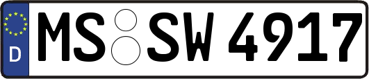 MS-SW4917