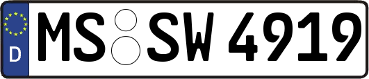 MS-SW4919