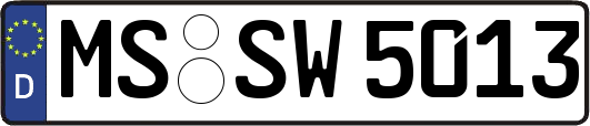 MS-SW5013