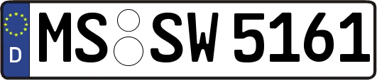 MS-SW5161