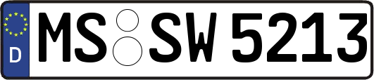 MS-SW5213
