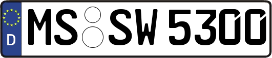 MS-SW5300