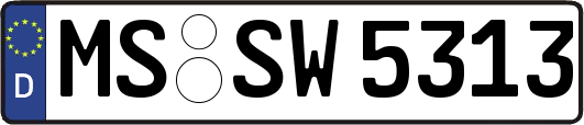 MS-SW5313