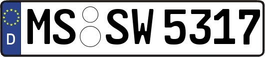 MS-SW5317