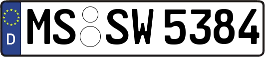MS-SW5384