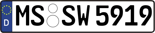 MS-SW5919
