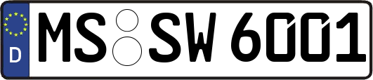 MS-SW6001