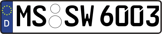 MS-SW6003