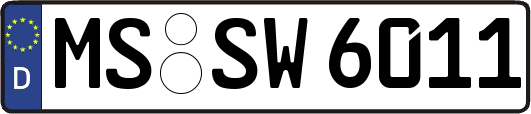 MS-SW6011