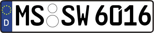 MS-SW6016