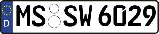 MS-SW6029