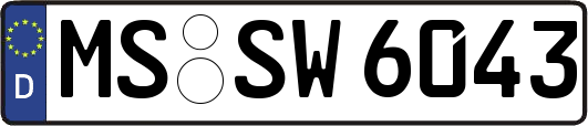 MS-SW6043