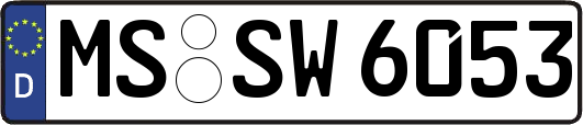 MS-SW6053