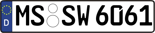 MS-SW6061