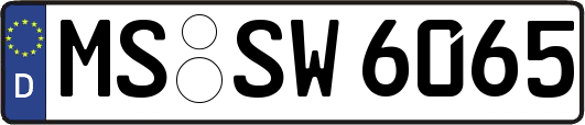 MS-SW6065