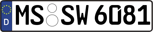 MS-SW6081