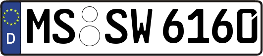 MS-SW6160