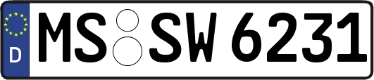MS-SW6231