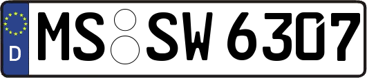MS-SW6307