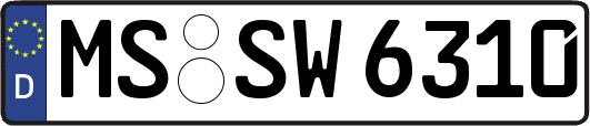 MS-SW6310