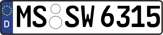 MS-SW6315