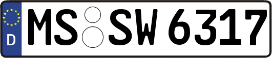 MS-SW6317