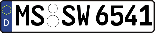 MS-SW6541