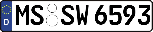 MS-SW6593