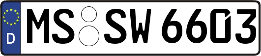 MS-SW6603