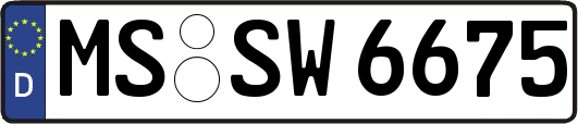 MS-SW6675