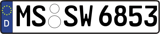 MS-SW6853