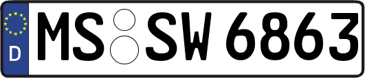 MS-SW6863