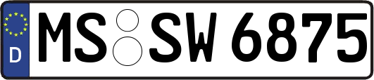 MS-SW6875