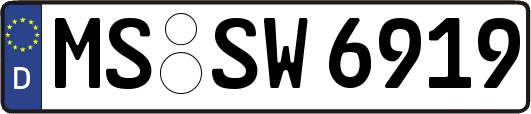 MS-SW6919