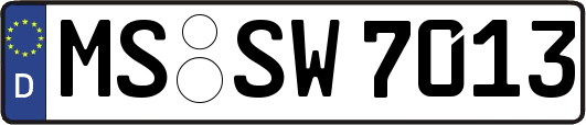 MS-SW7013