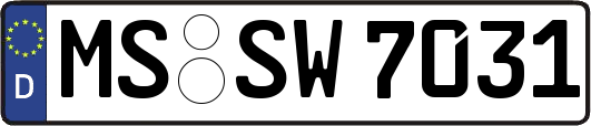 MS-SW7031