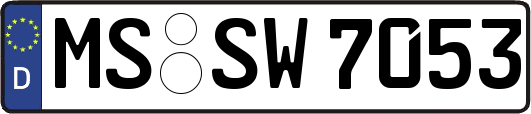 MS-SW7053