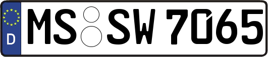 MS-SW7065