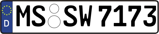 MS-SW7173