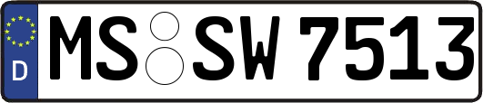 MS-SW7513