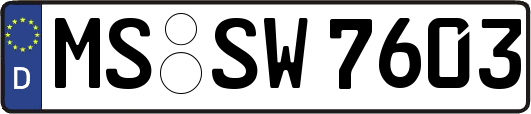 MS-SW7603
