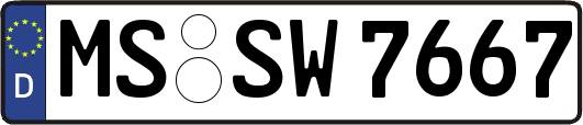 MS-SW7667