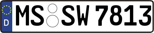 MS-SW7813