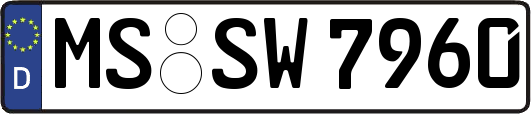 MS-SW7960