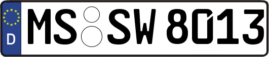 MS-SW8013
