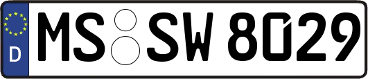 MS-SW8029