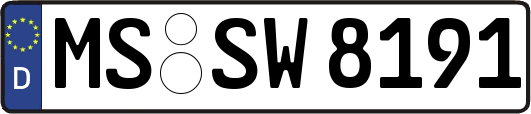MS-SW8191