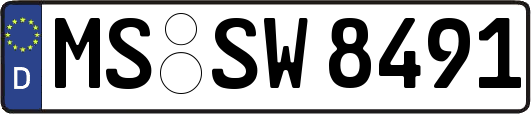 MS-SW8491